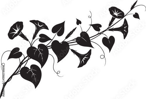 Black heart shaped leaves on vine white