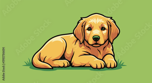 A cute golden retriever puppy lies on green grass with a simple background