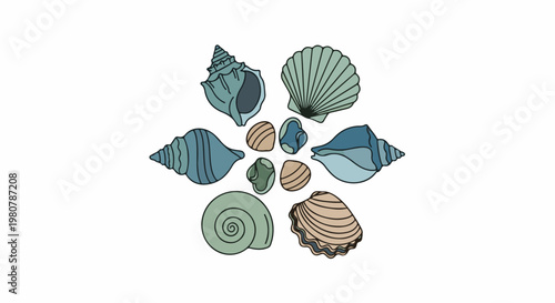 A collection of colorful seashells arranged in a circular pattern