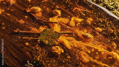 Amber resin flowing and solidifying on wood with trapped foliage and organic textures, showcasing natural ancient preservation