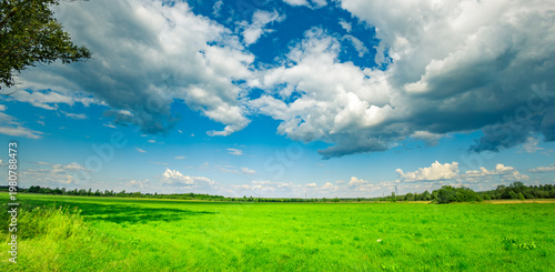 Wallpaper Mural Vast green field stretches beneath a bright blue sky Torontodigital.ca
