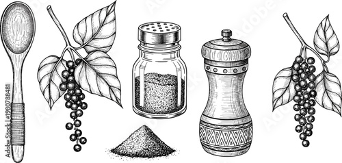 Set of hand drawn engraved sketch icons featuring black peppercorn branches wooden spoon pepper mill and glass spice shaker isolated on white background vector