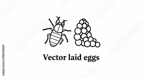 A line drawing of a pest alongside its laid eggs is depicted