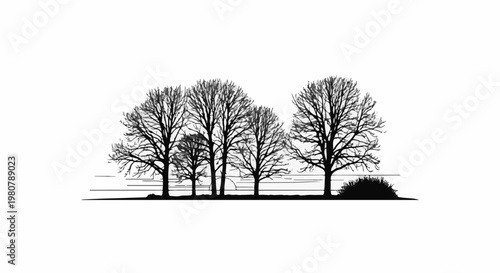 A line of bare trees with delicate branches against a white backdrop