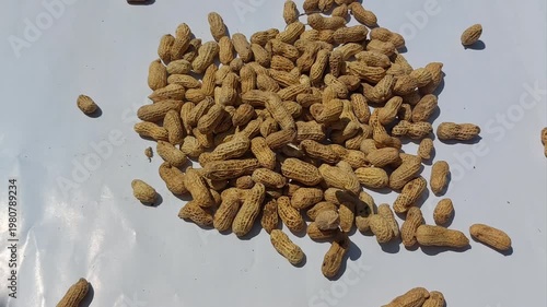 A plentiful scattering of raw, unshelled peanuts, freshly harvested and displayed on a clean white surface, highlighting their natural, earthy texture and wholesomeness