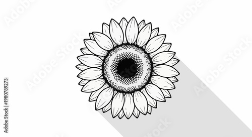 A detailed black and white illustration of a sunflower with a long, soft shadow