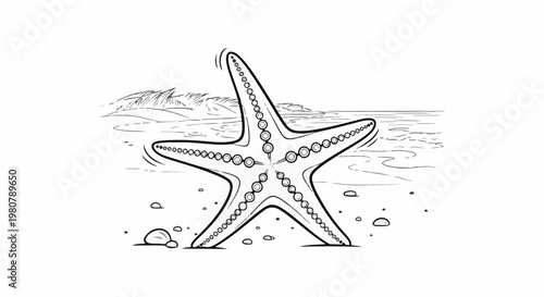 A detailed black and white sketch of a starfish on a sandy beach with sparse rocks and vegetation
