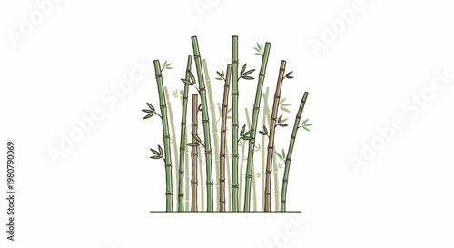A cluster of bamboo stalks in various shades of green and brown, with delicate leaves