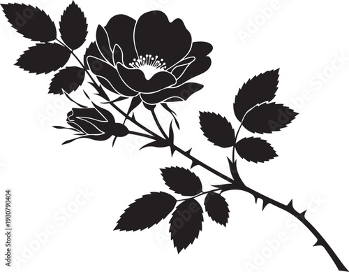 Black silhouette rose branch with leaves and thorns flower