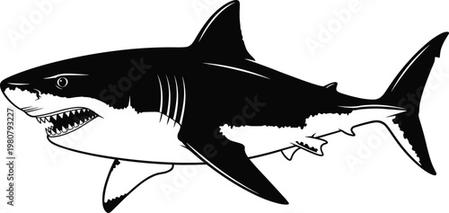 Shark silhouette illustration, great white profile, marine predator artwork, ocean wildlife design, aquatic animal concept, black vector drawing