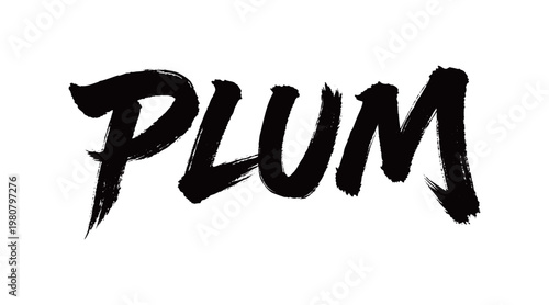 PLUM Handwriting