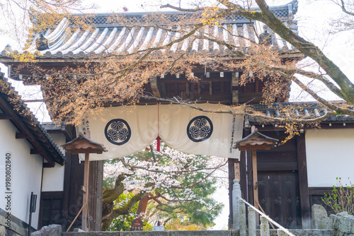 2026年 京都市内の風景