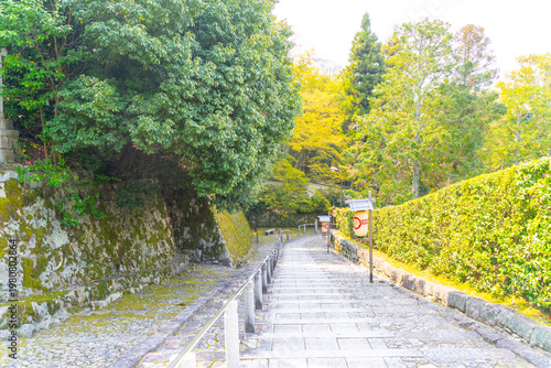 2026年 京都市内の風景