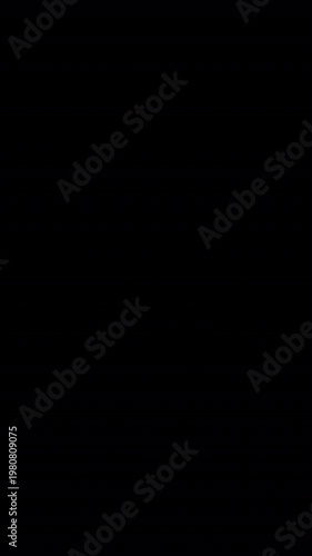 Twinkle Star Animation
