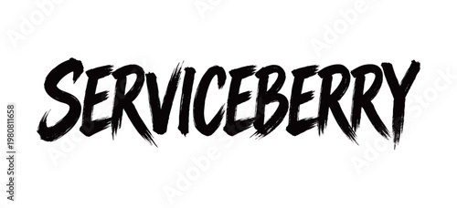 SERVICEBERRY Handwriting