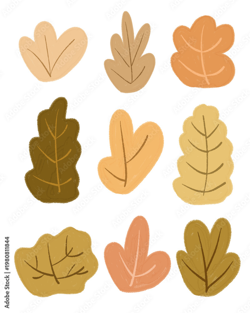 Fototapeta premium Cute leaves elements with transparent background