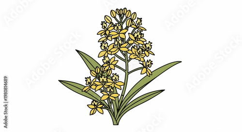 A stem of yellow orchids with green leaves in a simplistic illustration