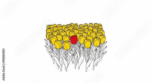A solitary red tulip stands out amongst a field of yellow blooms, graphic style