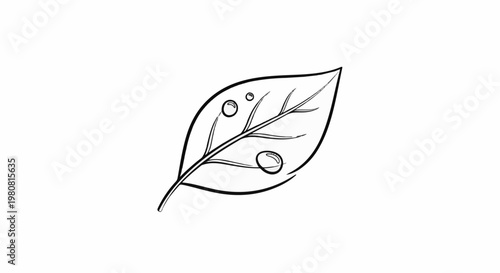 A simple black and white sketch of a leaf with dew drops