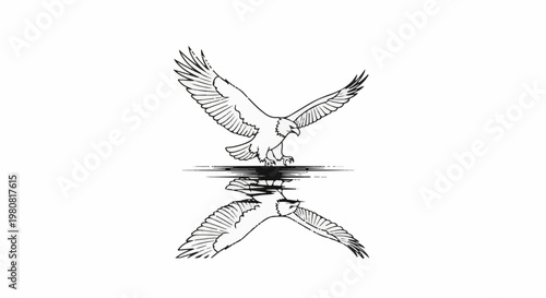 A majestic eagle in mid-flight, its reflection mirrored below