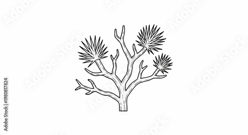 A stark, hand-drawn illustration of a prickly desert plant with multiple branches