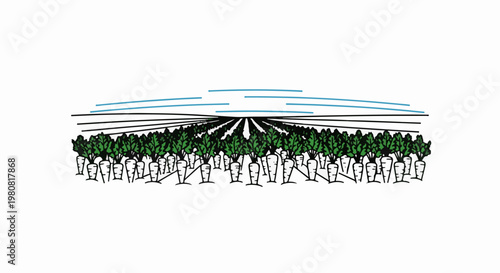 A perspective view of a vast field of carrots under a stylized sky