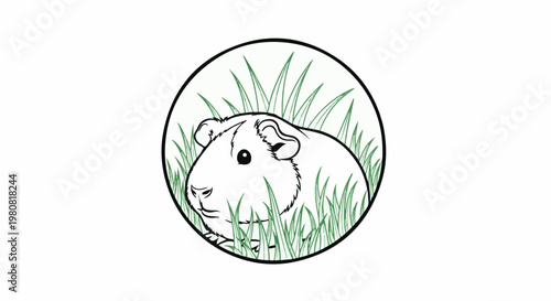 A simple outline drawing of a fluffy guinea pig peeking through green grass