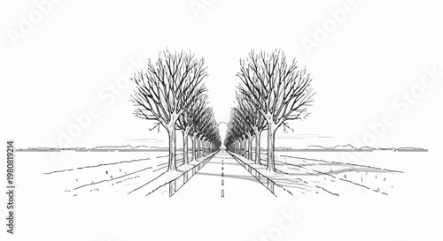 A path lined with bare trees receding into the distance under an open sky