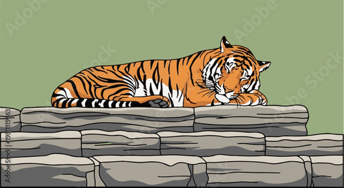 A sleeping tiger rests on layered rocks against a green background
