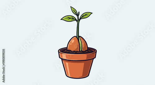 A small plant is sprouting from a seed in a terracotta pot