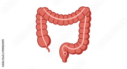 Colonoscopy System Line art simple color shapes illustration
