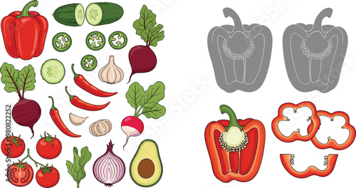 Green Jalapeno Pepper Illustration Set with Whole and Sliced Views Showing Seeds and Texture for Spicy Food Design, Cooking Ingredients, and Organic Vegetable Graphics