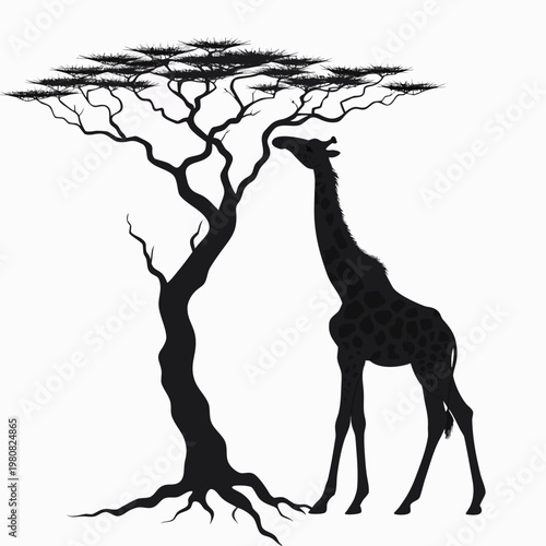 Black silhouette giraffe, acacia tree, savannah wildlife, vector icon, animal illustration