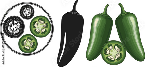 Set of Jalapeño Pepper and Sliced Pepper Illustrations for Culinary, Healthy Eating, and Spicy Food Design Themes