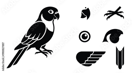 Black and white parrot vector illustration set including parrot body head beak eye wing tail and talons isolated on white background