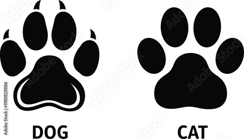 Dog and cat paw prints silhouette a comparative illustration