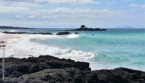 Coastal Landscape, Baltra Island, Galápagos