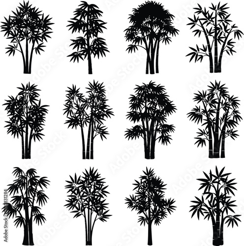 Twelve black silhouette bamboo plants with detailed leaves on a white background