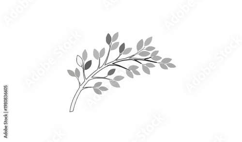 Minimal Elegant Tree Branch Vector Illustration Template with Leaves for Logo and Decorative Design