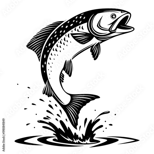Jumping Fish, Black and White Vector, Fish Illustration, Graphic Resource
