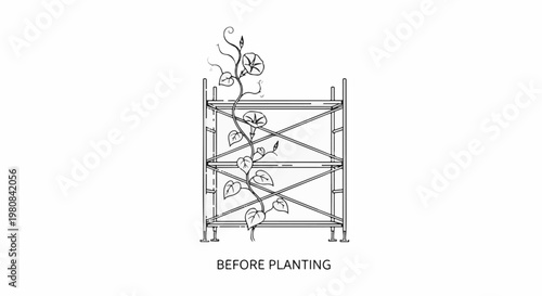 A vine with morning glory flowers climbs a minimalist scaffolding structure