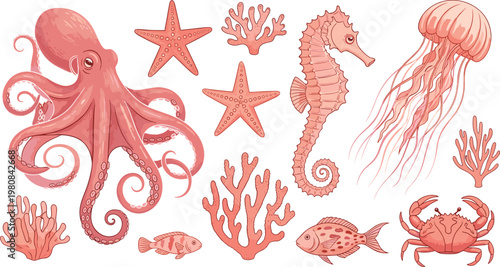 Monochrome coral style sea animals collection including octopus, jellyfish, seahorse, crab and starfish isolated on white background