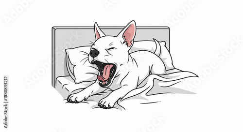 A white dog yawns widely while lying in a bed