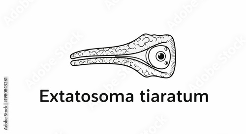 A whimsical illustration of a creature with an eye and text below