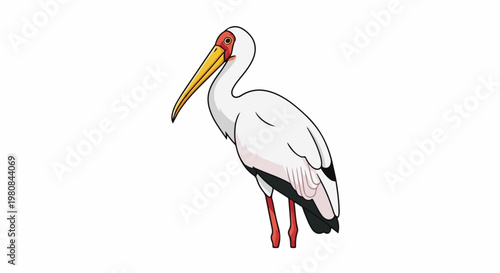 A white ibis with a long, curved yellow beak and red legs