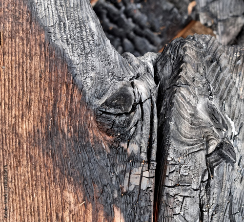 Schilderij op canvas Texture of charred wood
