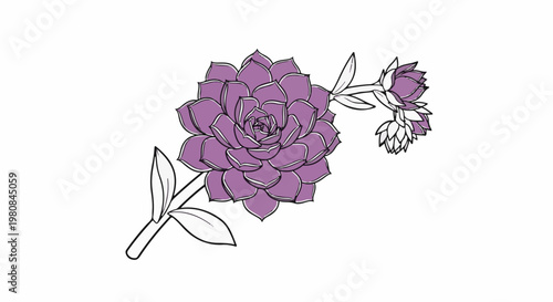 A stylized drawing of a purple succulent plant with leaves