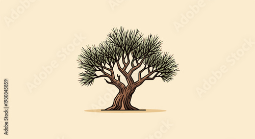 A stylized illustration of an old olive tree with textured bark and green leaves