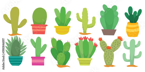 Set of hand drawn cactus and succulent plants in colorful pots isolated on white. Cactus vector collection with various desert plants and blooming succulents for stickers and home decor elements