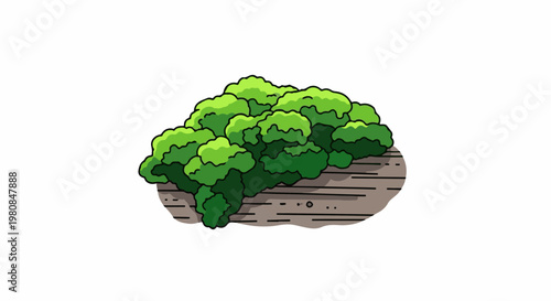 A vibrant green bush atop a textured rock with horizontal lines